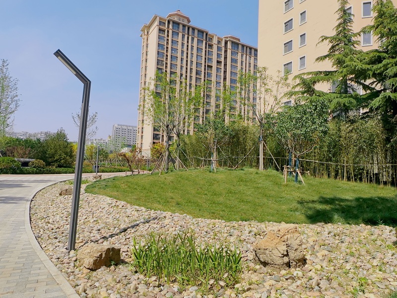 新城東路（創新街-北宮街）口袋公園工程